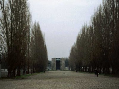 Fotografia della strada per accedere al lager